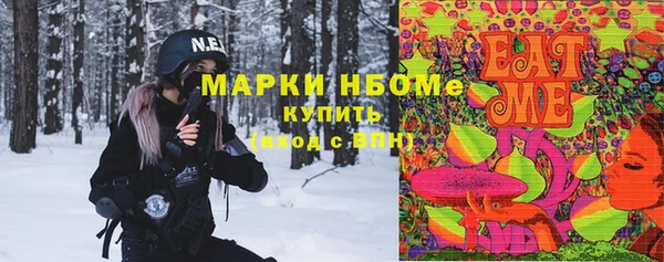 СК Коряжма