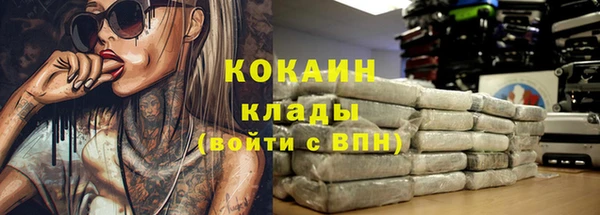 СК Коряжма