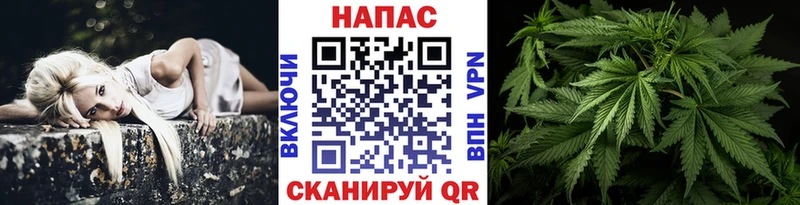 Марихуана сатива  Липки 